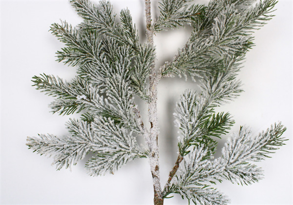 Rami per Decorazione Naturale