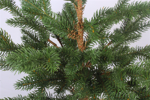 Alberi di cedro per la finitura verde di Natale