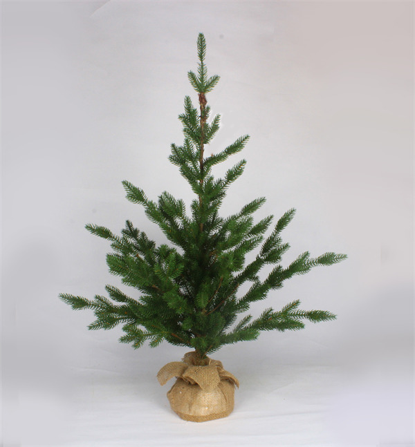 Alberi di cedro per Natale e Base New Mini