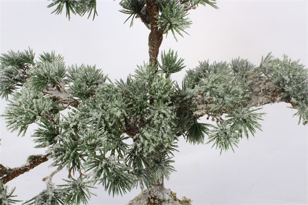 Decorazioni da tavolo per albero di Natale