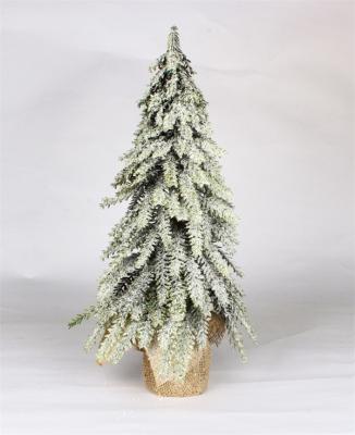 Albero di pino per Natale per decorazioni natalizie