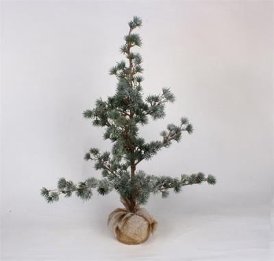 Finitura del ghiaccio artificiale dell'albero di Natale dell'abete