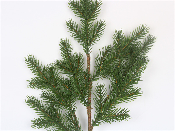 Branches for Decoration Indoor.jpg