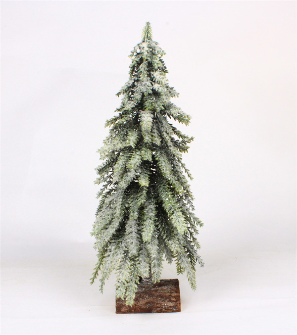 Pine Tree for Christmas.jpg