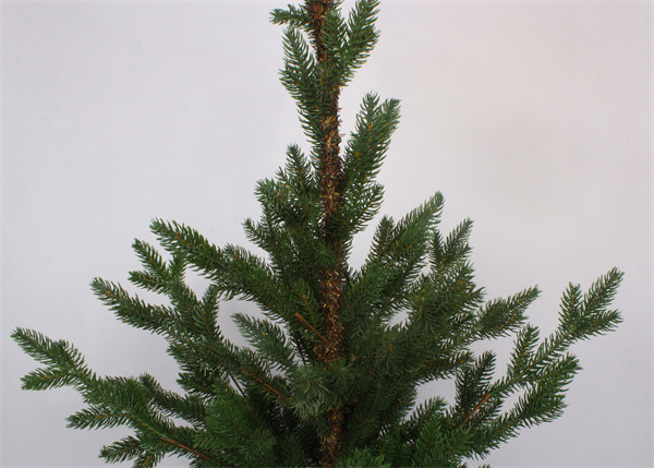 Cedar Trees for Christmas and Base New Mini.jpg